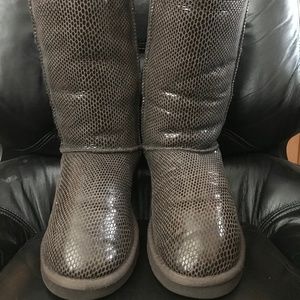 Authentic Brown Snakeskin Ugg in PERFECT condition